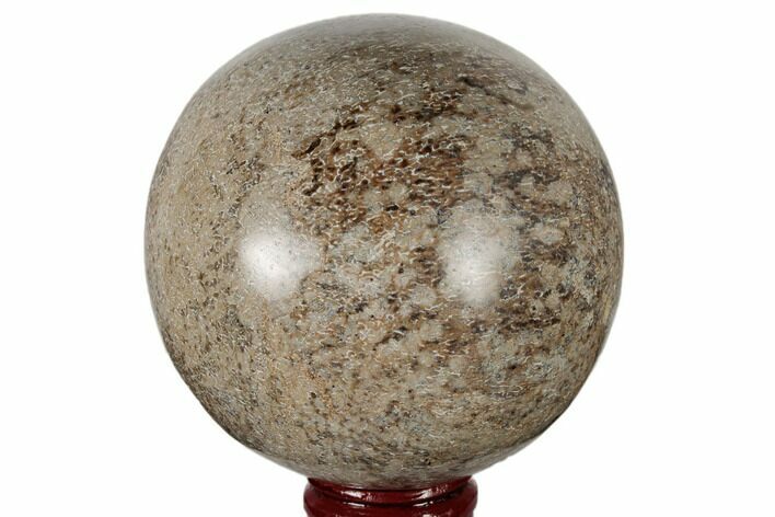 Polished Agatized Dinosaur (Gembone) Sphere - Morocco #189822